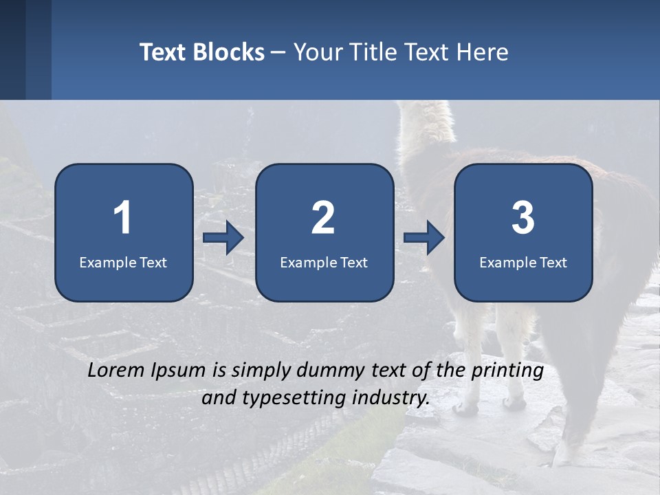 A Llama Standing On Top Of A Mountain PowerPoint Template
