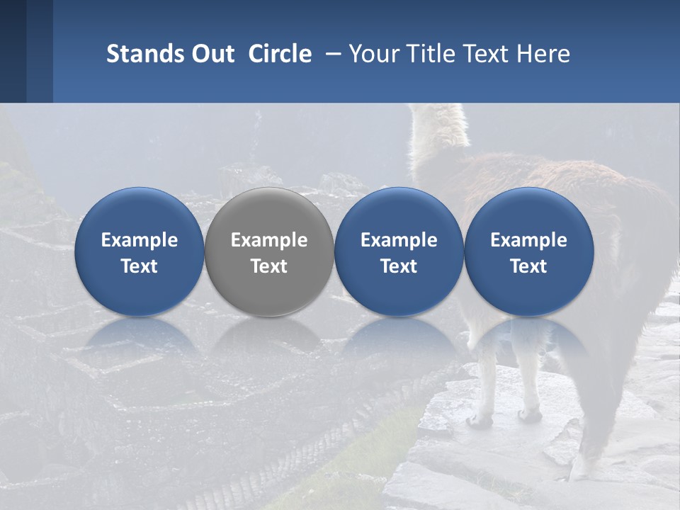 A Llama Standing On Top Of A Mountain PowerPoint Template