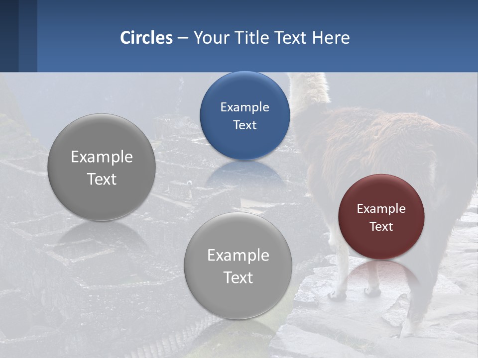 A Llama Standing On Top Of A Mountain PowerPoint Template