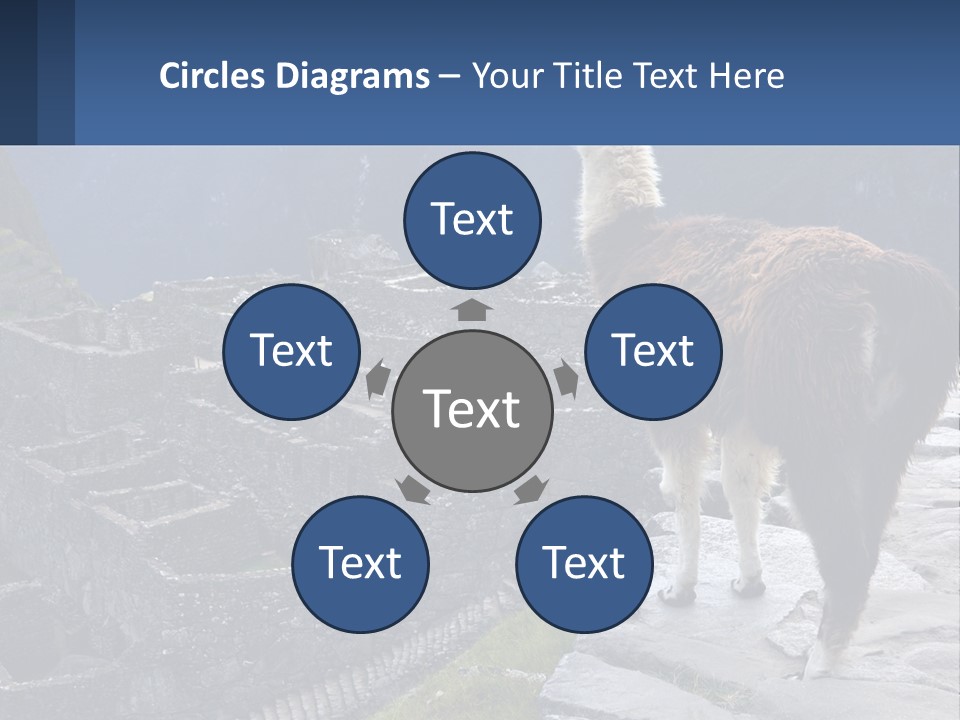 A Llama Standing On Top Of A Mountain PowerPoint Template