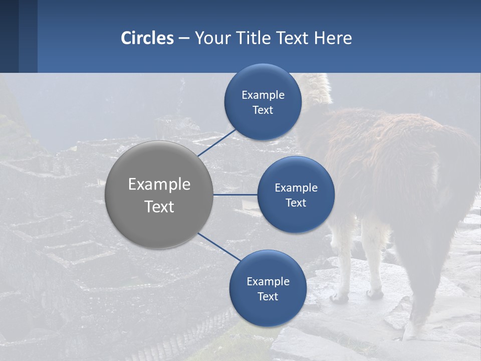 A Llama Standing On Top Of A Mountain PowerPoint Template