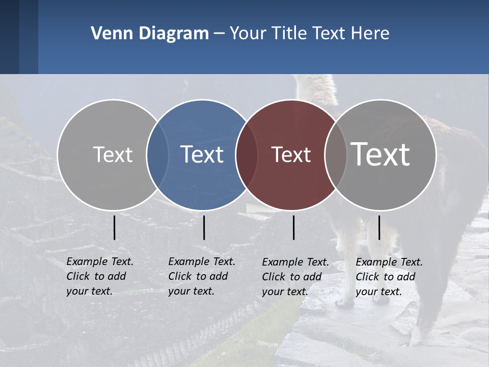 A Llama Standing On Top Of A Mountain PowerPoint Template