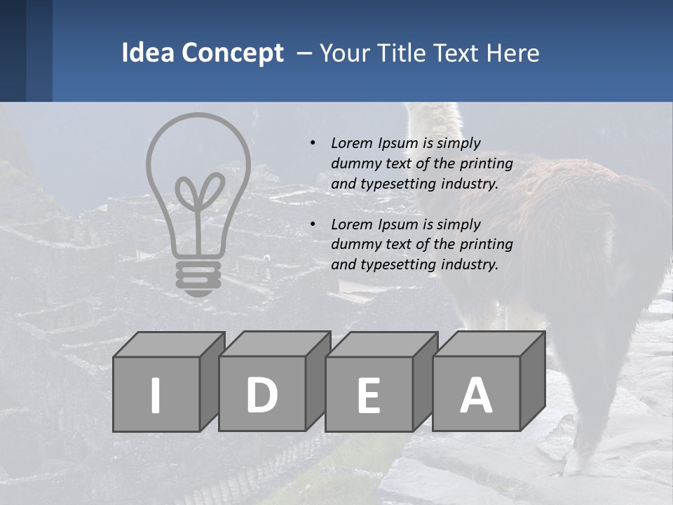 A Llama Standing On Top Of A Mountain PowerPoint Template