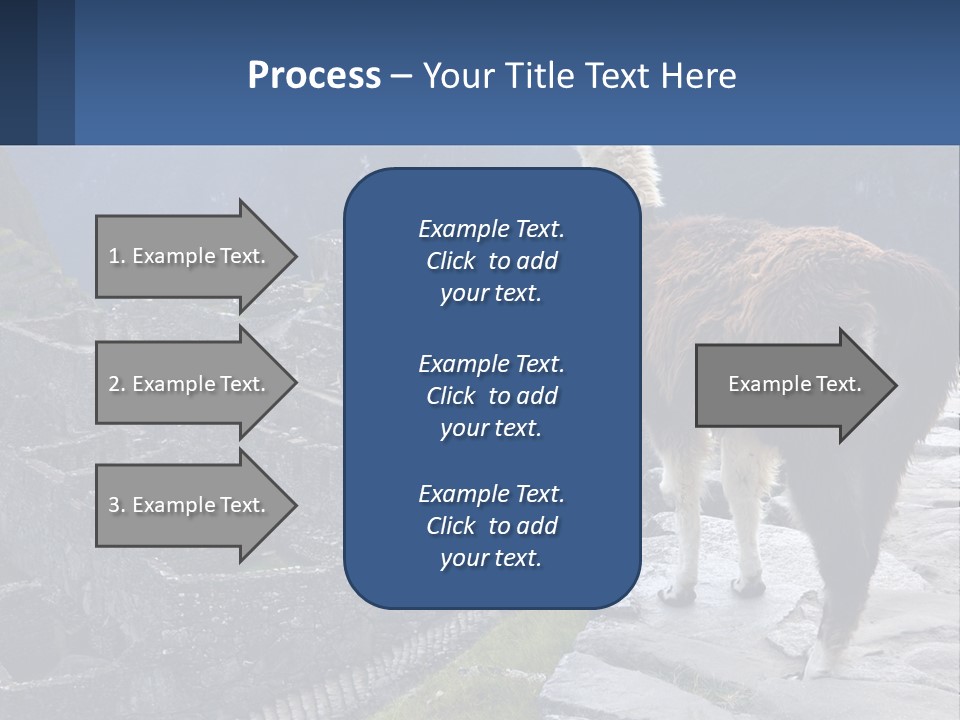 A Llama Standing On Top Of A Mountain PowerPoint Template