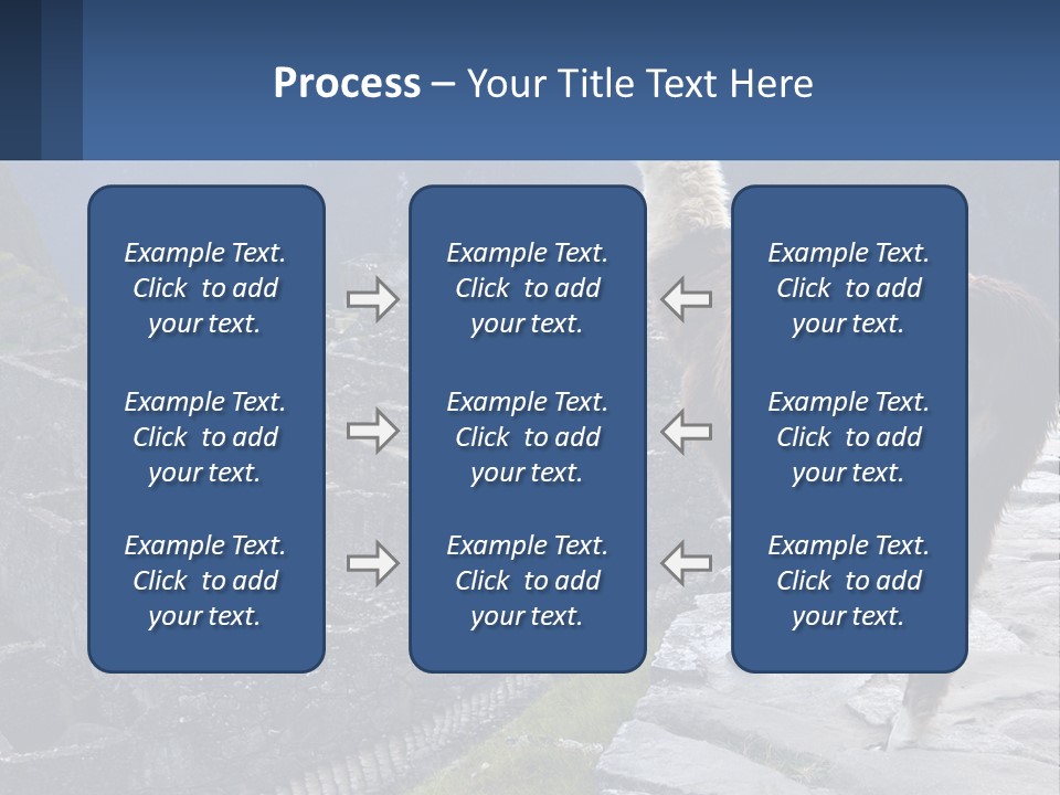 A Llama Standing On Top Of A Mountain PowerPoint Template