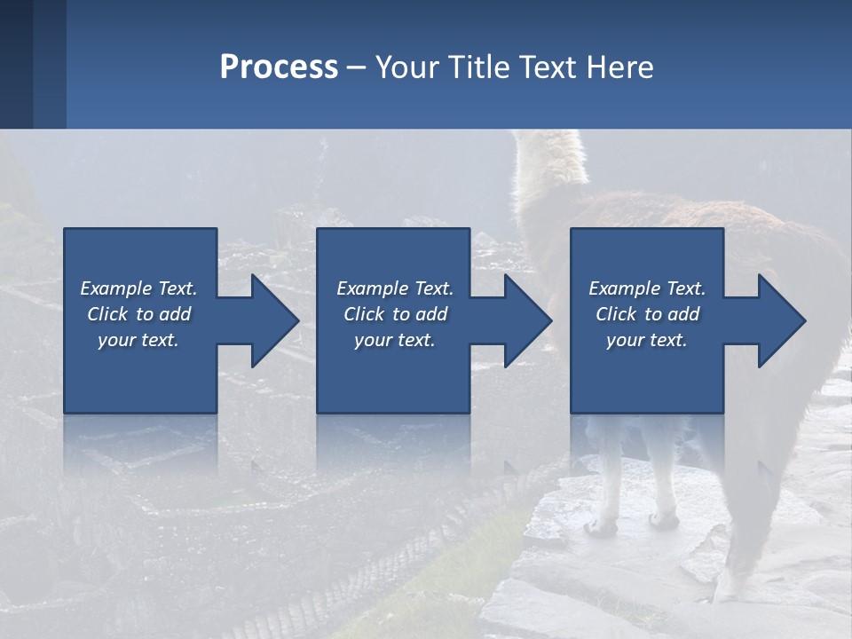A Llama Standing On Top Of A Mountain PowerPoint Template