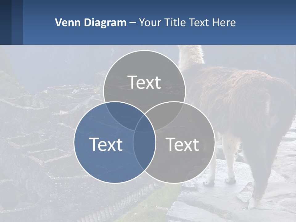 A Llama Standing On Top Of A Mountain PowerPoint Template