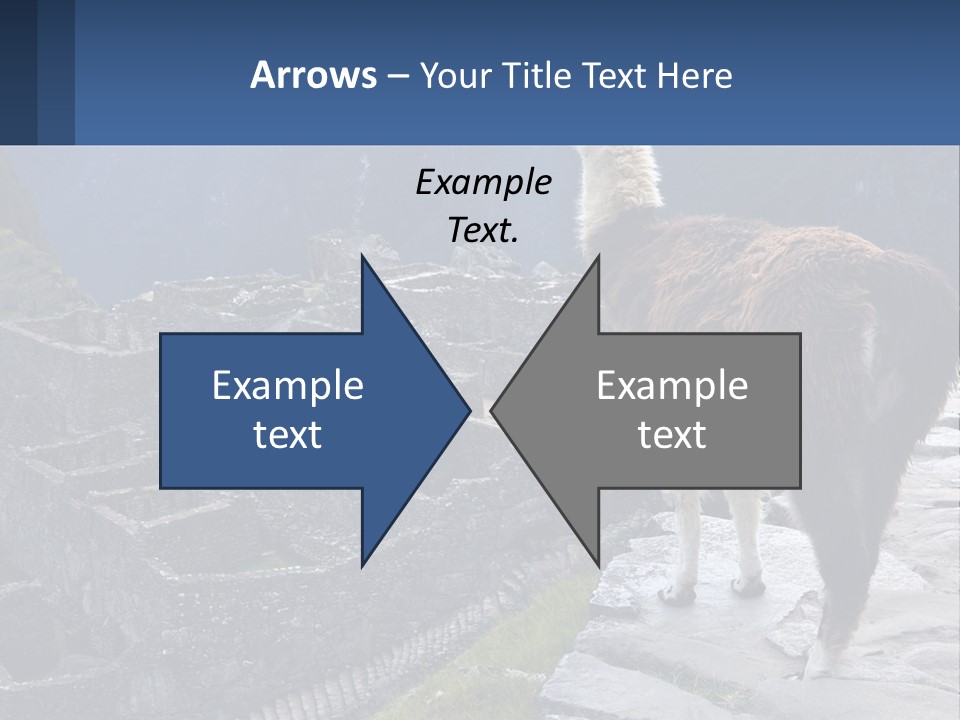 A Llama Standing On Top Of A Mountain PowerPoint Template