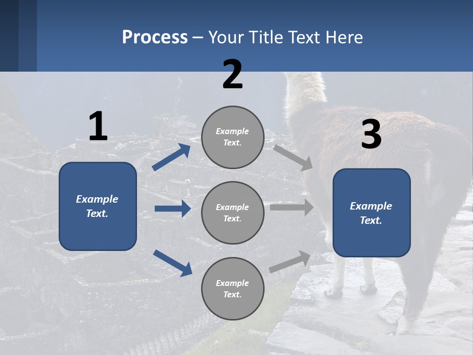 A Llama Standing On Top Of A Mountain PowerPoint Template