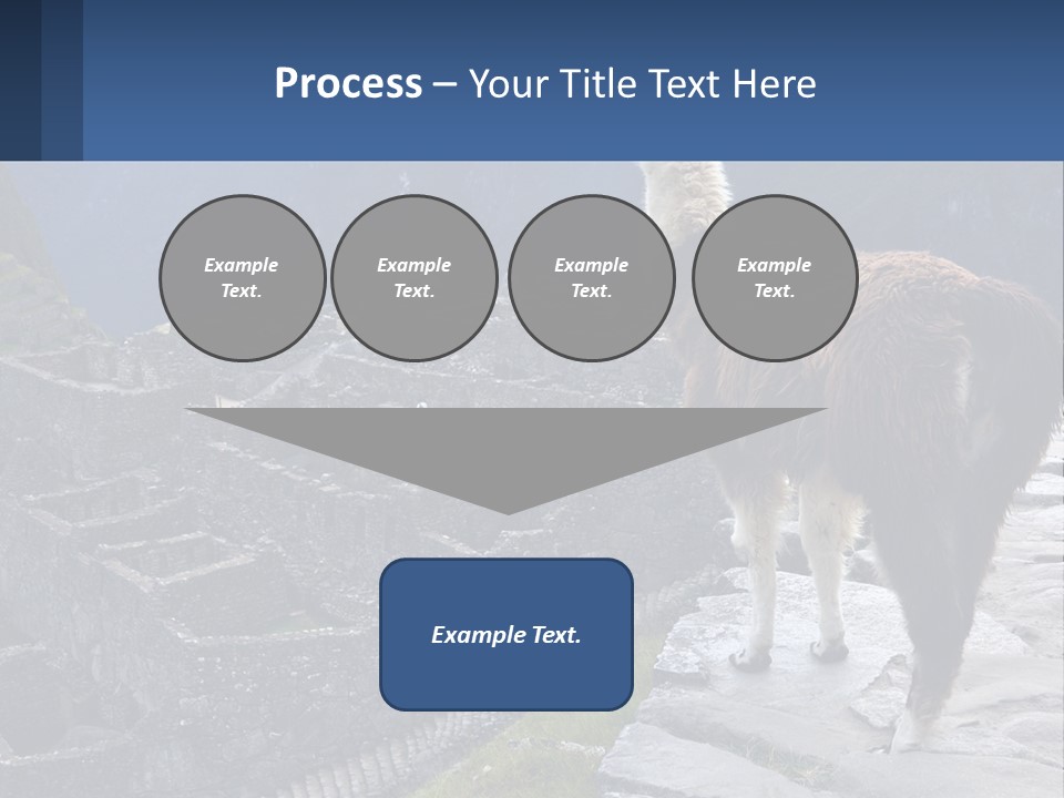 A Llama Standing On Top Of A Mountain PowerPoint Template