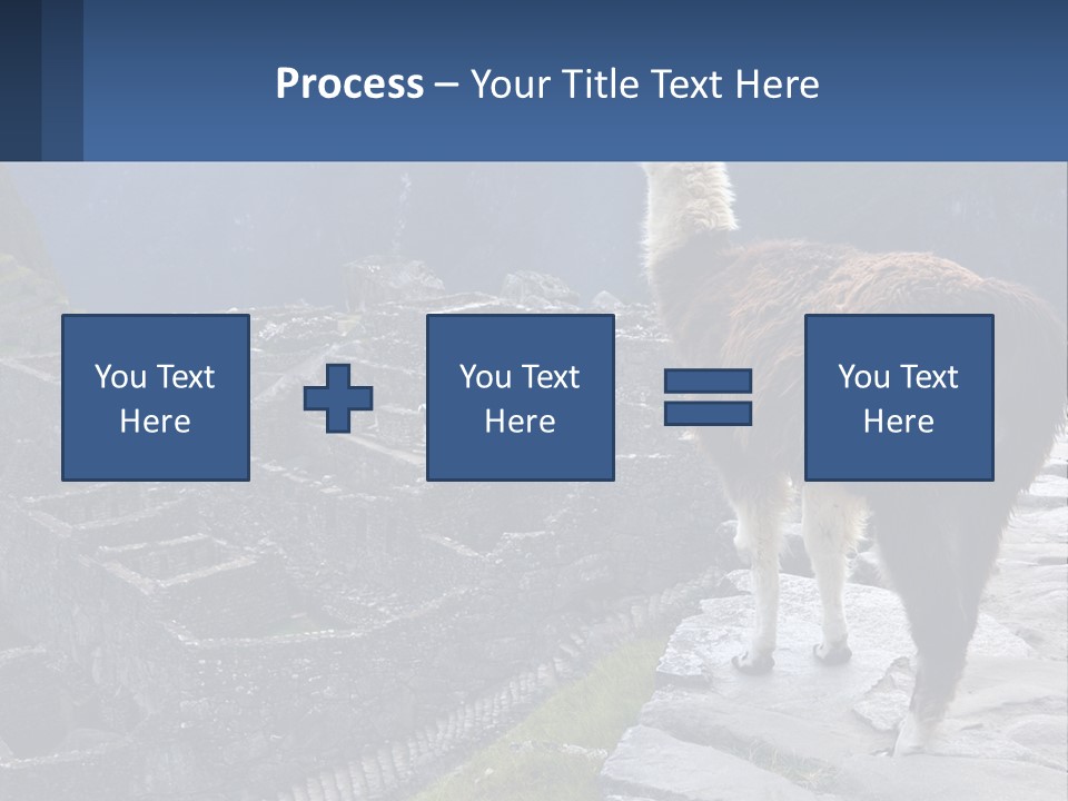 A Llama Standing On Top Of A Mountain PowerPoint Template