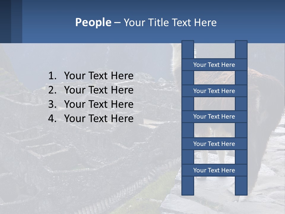 A Llama Standing On Top Of A Mountain PowerPoint Template