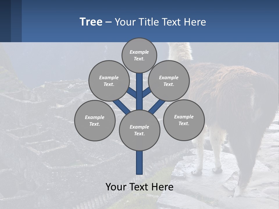 A Llama Standing On Top Of A Mountain PowerPoint Template