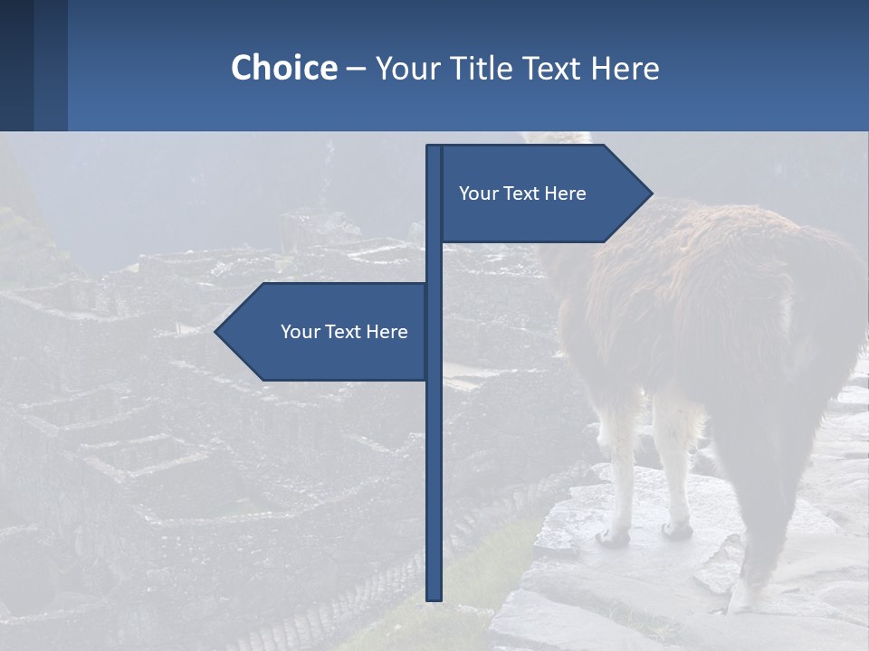 A Llama Standing On Top Of A Mountain PowerPoint Template