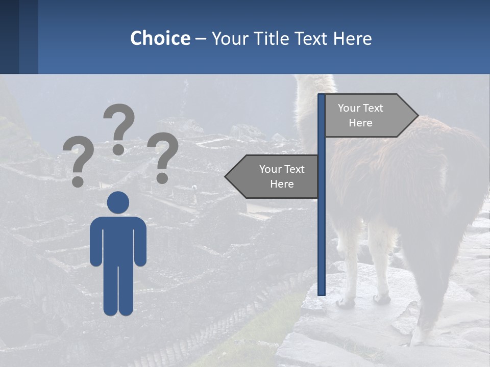 A Llama Standing On Top Of A Mountain PowerPoint Template