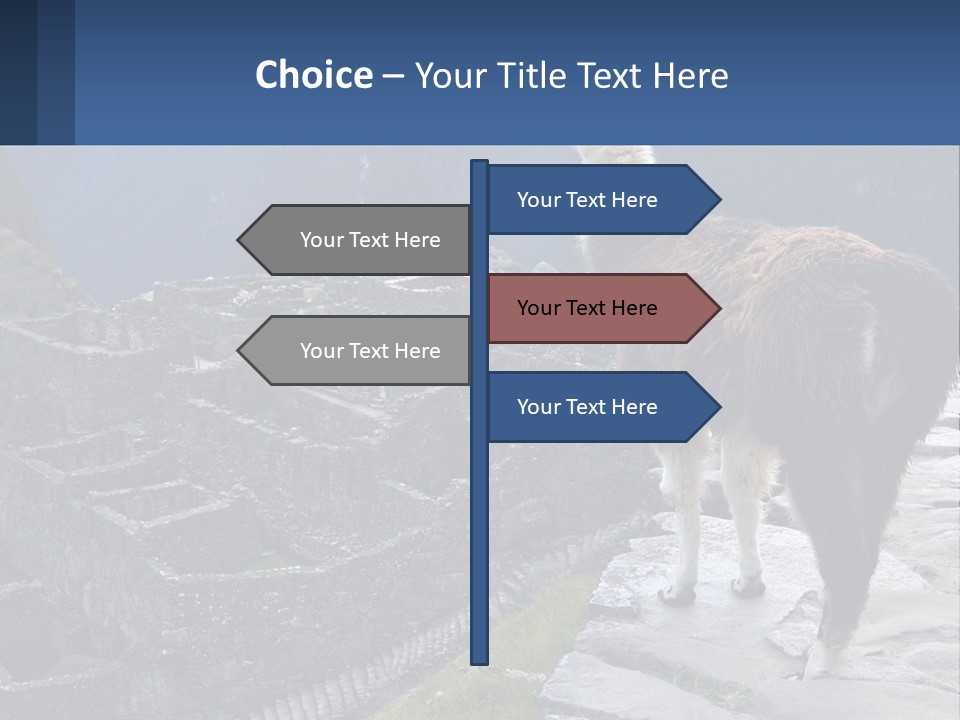 A Llama Standing On Top Of A Mountain PowerPoint Template