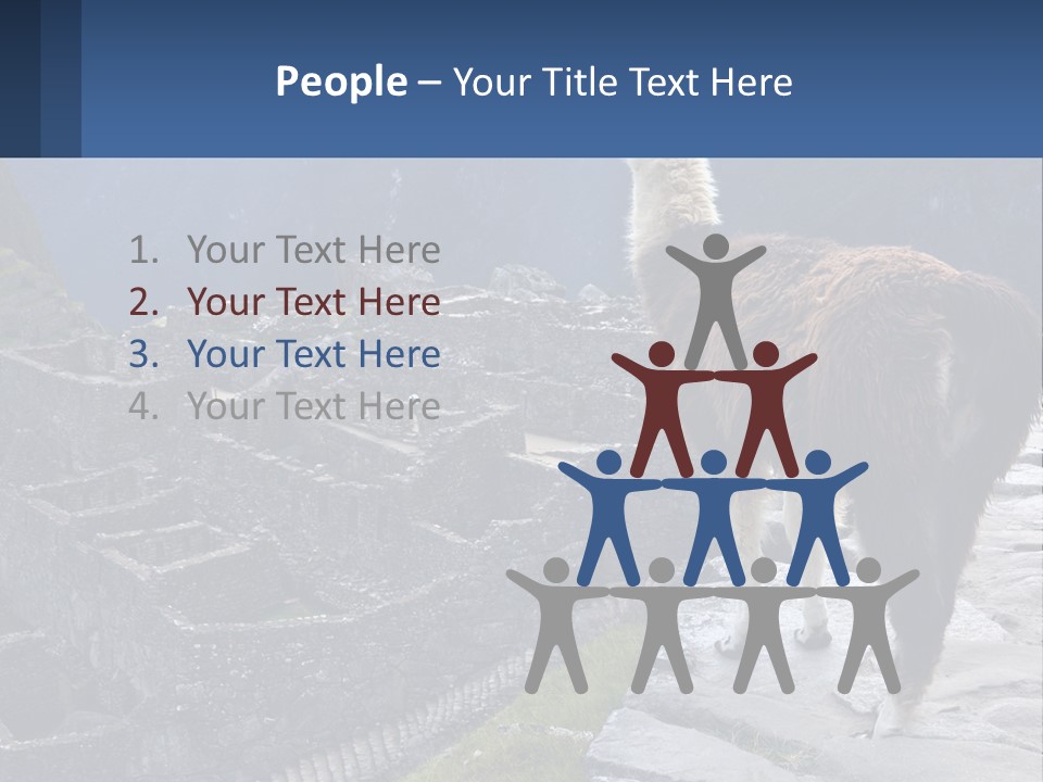 A Llama Standing On Top Of A Mountain PowerPoint Template