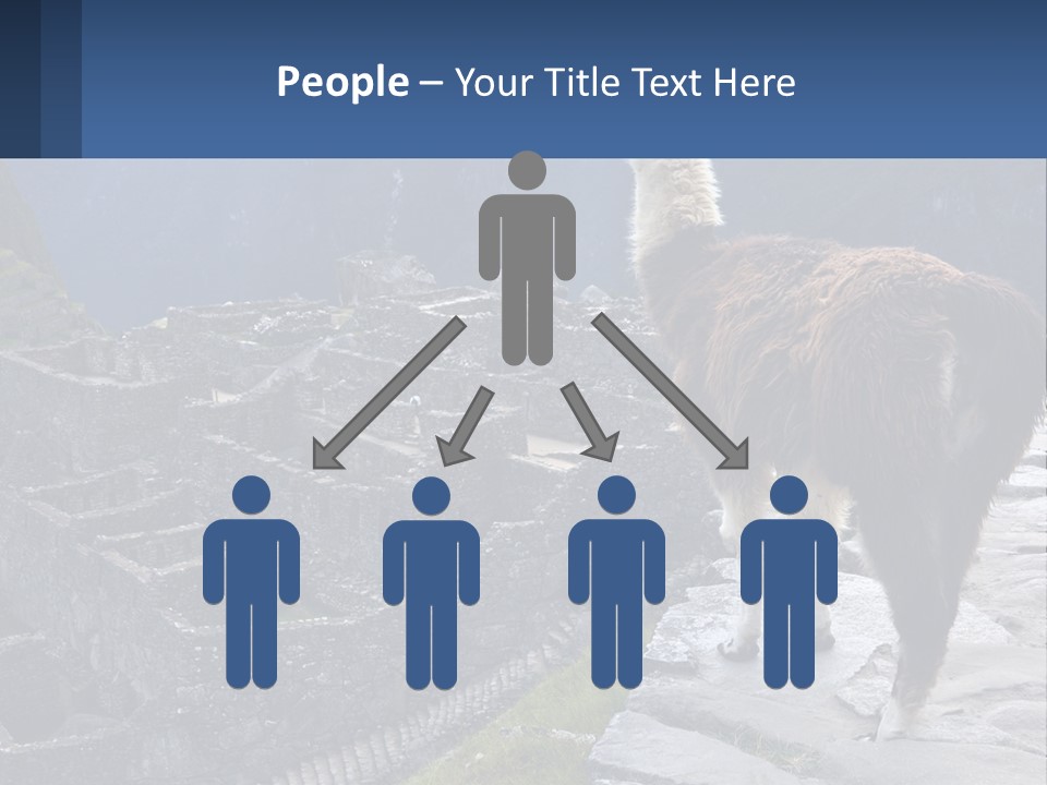 A Llama Standing On Top Of A Mountain PowerPoint Template