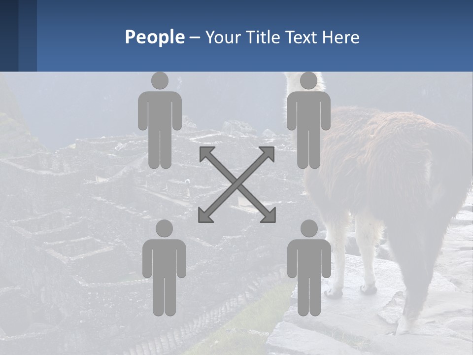 A Llama Standing On Top Of A Mountain PowerPoint Template