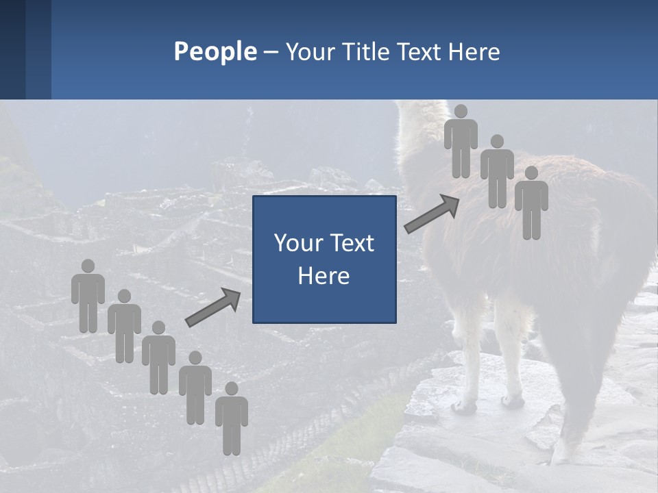 A Llama Standing On Top Of A Mountain PowerPoint Template