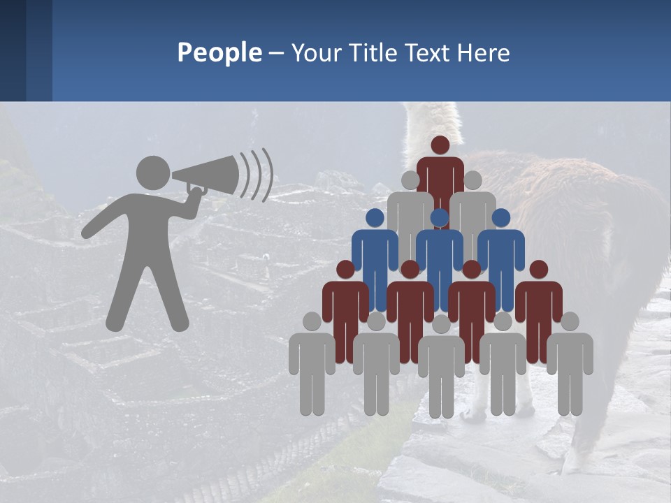 A Llama Standing On Top Of A Mountain PowerPoint Template