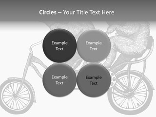 Two Bears Riding On A Bicycle With A Silver Background PowerPoint Template