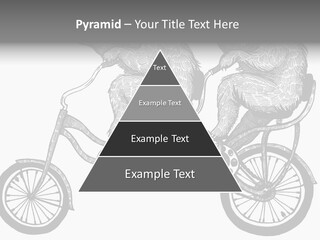 Two Bears Riding On A Bicycle With A Silver Background PowerPoint Template
