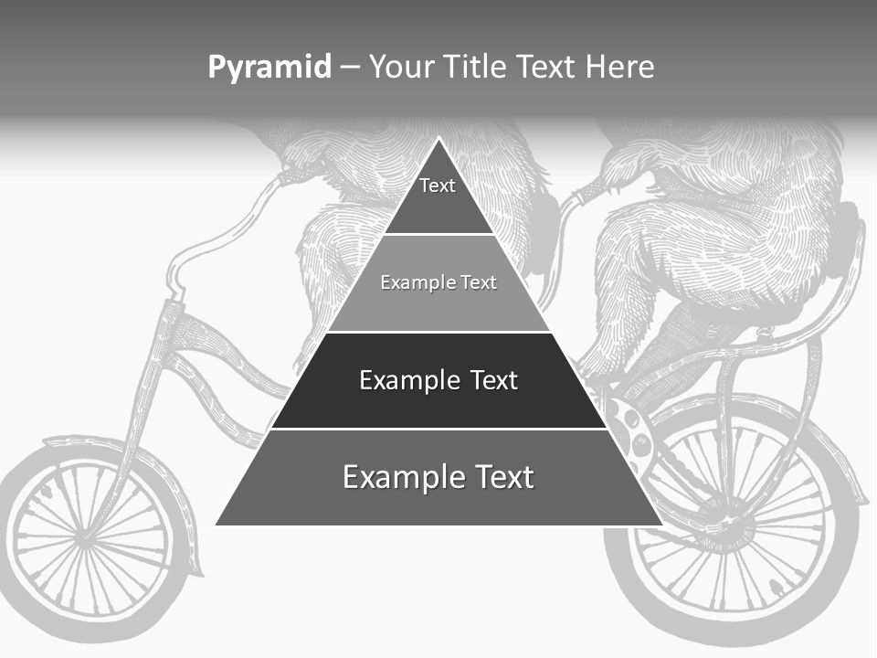 Two Bears Riding On A Bicycle With A Silver Background PowerPoint Template