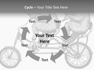 Two Bears Riding On A Bicycle With A Silver Background PowerPoint Template