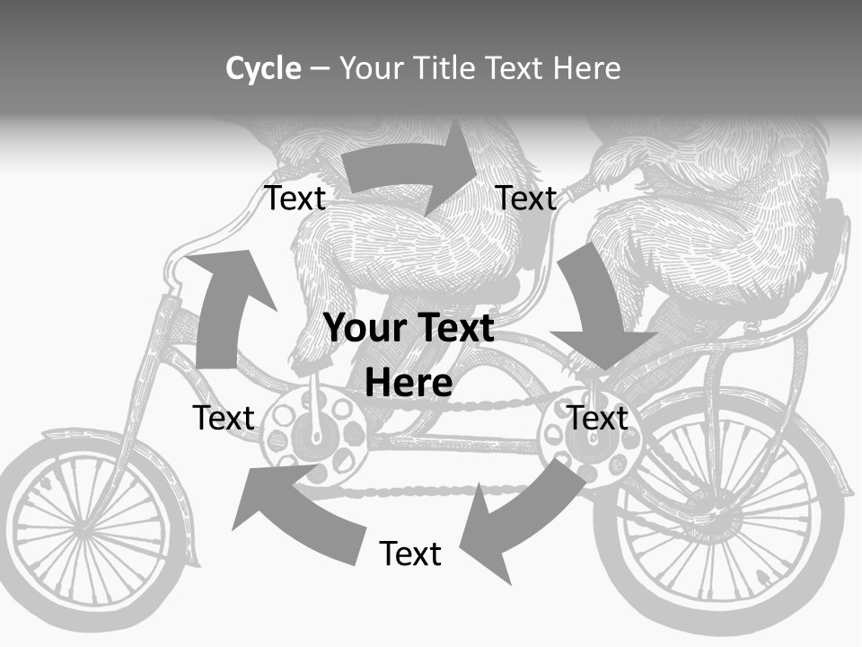 Two Bears Riding On A Bicycle With A Silver Background PowerPoint Template