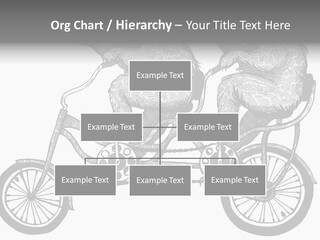Two Bears Riding On A Bicycle With A Silver Background PowerPoint Template