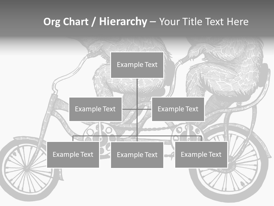 Two Bears Riding On A Bicycle With A Silver Background PowerPoint Template