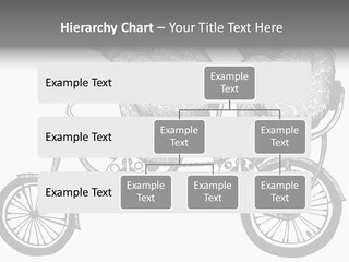 Two Bears Riding On A Bicycle With A Silver Background PowerPoint Template