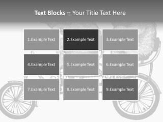 Two Bears Riding On A Bicycle With A Silver Background PowerPoint Template