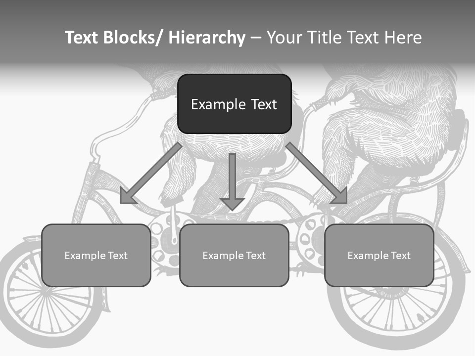 Two Bears Riding On A Bicycle With A Silver Background PowerPoint Template