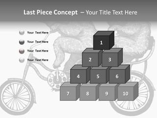Two Bears Riding On A Bicycle With A Silver Background PowerPoint Template