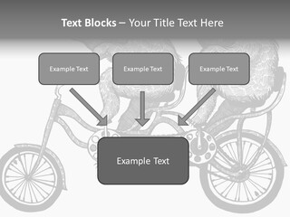 Two Bears Riding On A Bicycle With A Silver Background PowerPoint Template