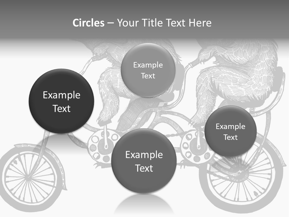 Two Bears Riding On A Bicycle With A Silver Background PowerPoint Template