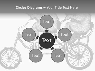 Two Bears Riding On A Bicycle With A Silver Background PowerPoint Template