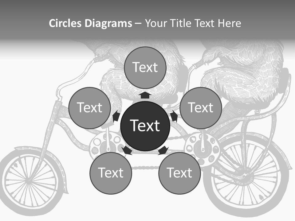 Two Bears Riding On A Bicycle With A Silver Background PowerPoint Template