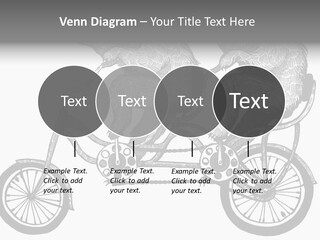 Two Bears Riding On A Bicycle With A Silver Background PowerPoint Template