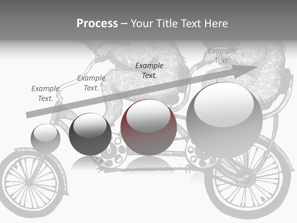 Two Bears Riding On A Bicycle With A Silver Background PowerPoint Template