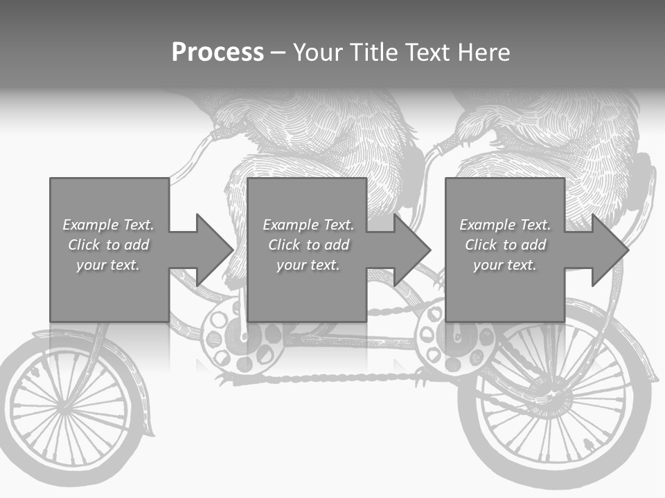Two Bears Riding On A Bicycle With A Silver Background PowerPoint Template