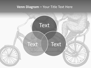 Two Bears Riding On A Bicycle With A Silver Background PowerPoint Template