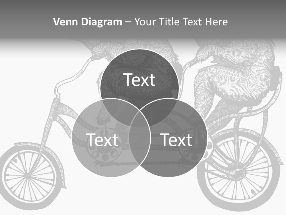 Two Bears Riding On A Bicycle With A Silver Background PowerPoint Template