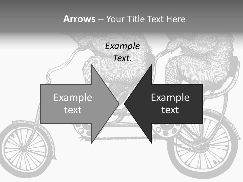 Two Bears Riding On A Bicycle With A Silver Background PowerPoint Template