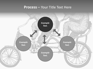 Two Bears Riding On A Bicycle With A Silver Background PowerPoint Template