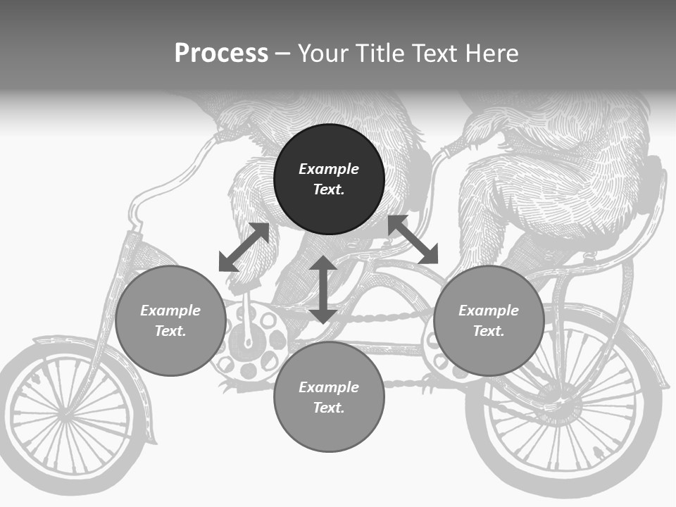 Two Bears Riding On A Bicycle With A Silver Background PowerPoint Template