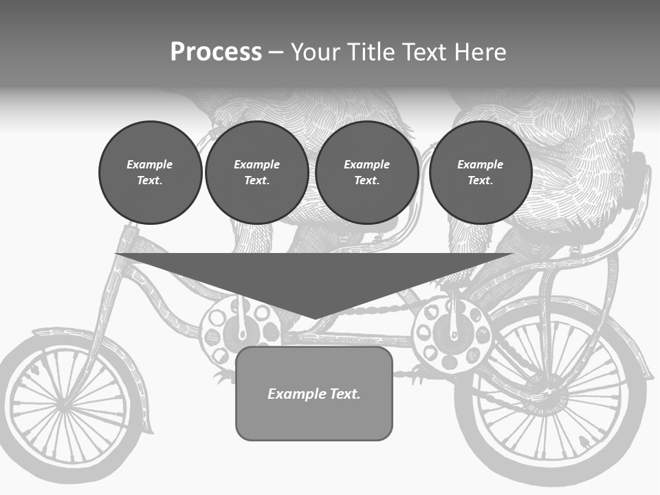 Two Bears Riding On A Bicycle With A Silver Background PowerPoint Template