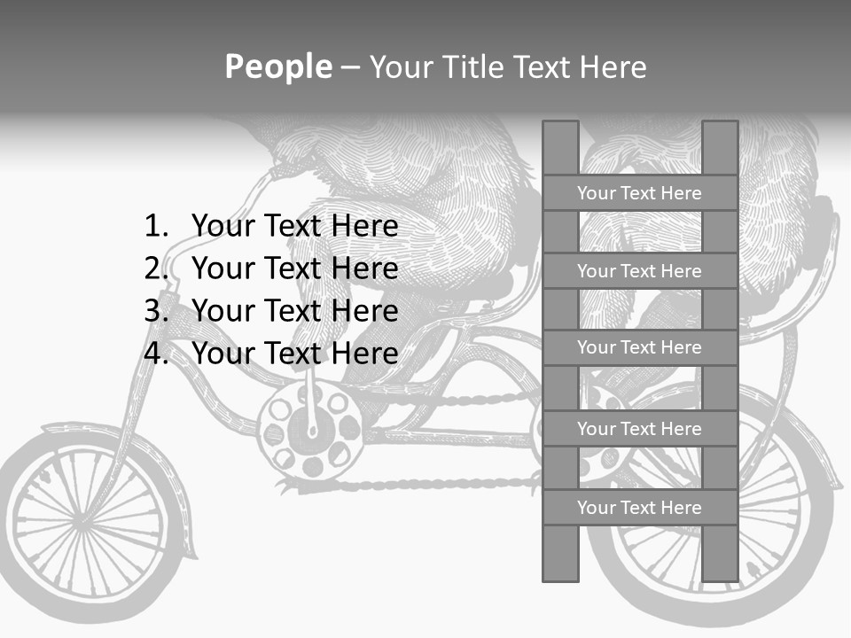 Two Bears Riding On A Bicycle With A Silver Background PowerPoint Template